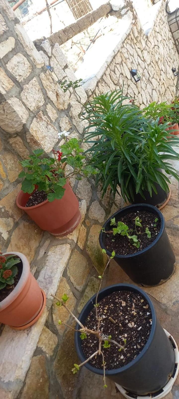 Himara Apartments * Himare